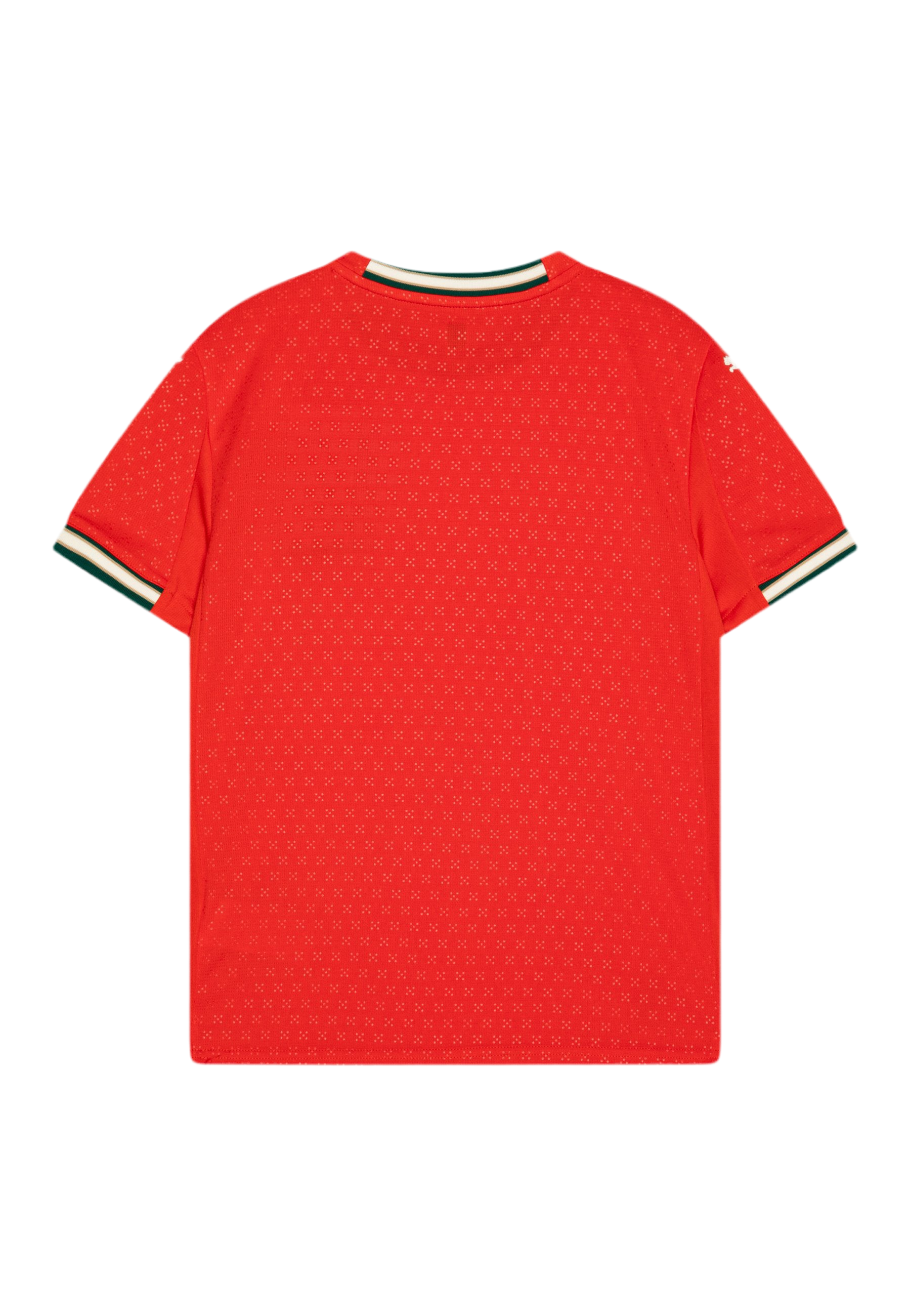 Maillot Officiel Portugal 2025 – Domicile | Équipe Nationale